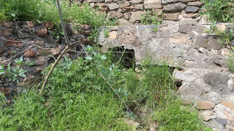 Zona arqueológica de El Rosario